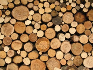 background_logs