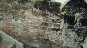 Unconverted basement. The timbers staircase is at risk from Wet and Dry Rot from the wet walls.