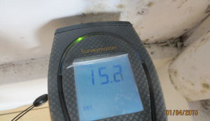 Moisture meter reading 'Dry'